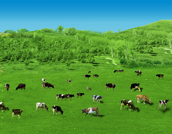 農(nóng)業(yè)部發(fā)布關(guān)于做好獸藥產(chǎn)品批準(zhǔn)文號審查有關(guān)工作的通知