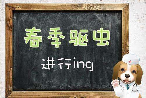 春季應(yīng)該怎么驅(qū)蟲