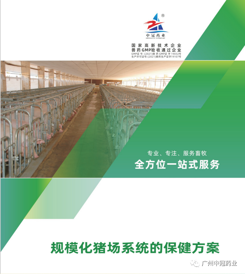 中冠藥業(yè) ——規(guī)模化豬場(chǎng)全方位一站式服務(wù)