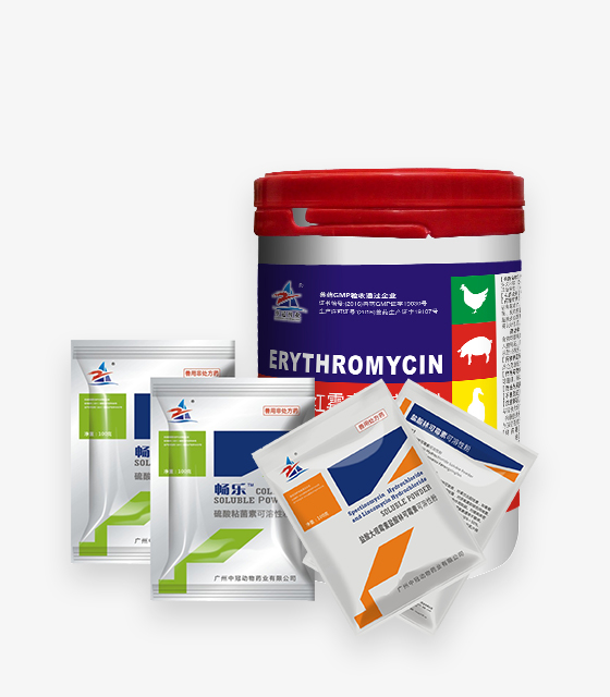 禽類(lèi)產(chǎn)品