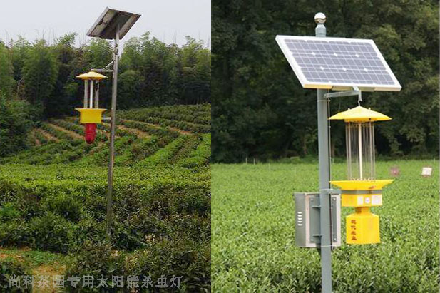 遂川茶園太陽(yáng)能殺蟲燈圖片案例