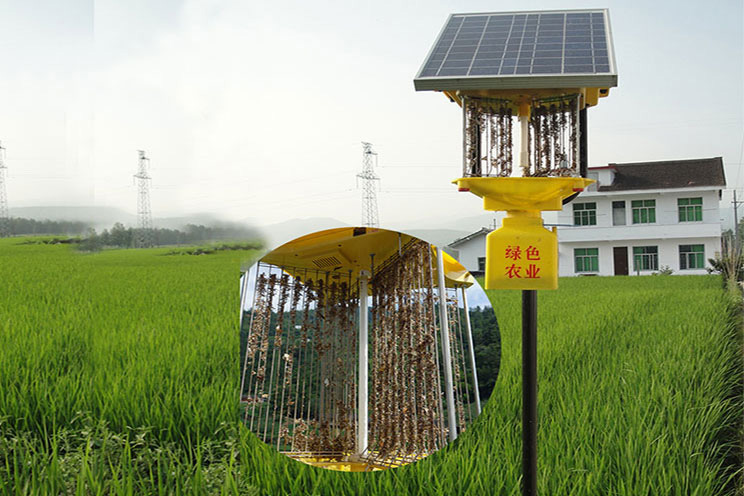 不帶雨控功能的太陽能殺蟲燈