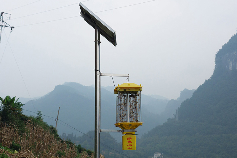 湖北太陽能殺蟲燈價格多少錢