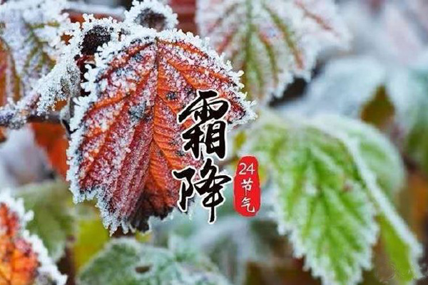 今日霜降，記得收起您的太陽(yáng)能殺蟲(chóng)燈