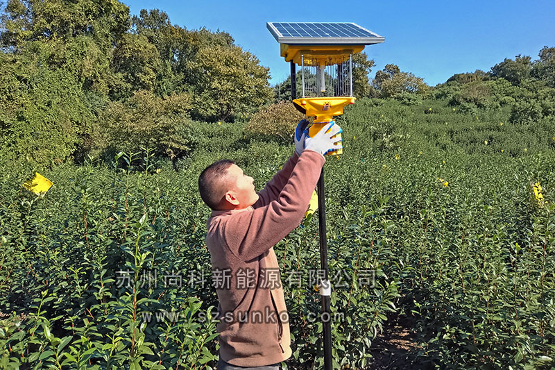 蘇州碧螺春茶園太陽能殺蟲燈安裝紀(jì)實(shí)