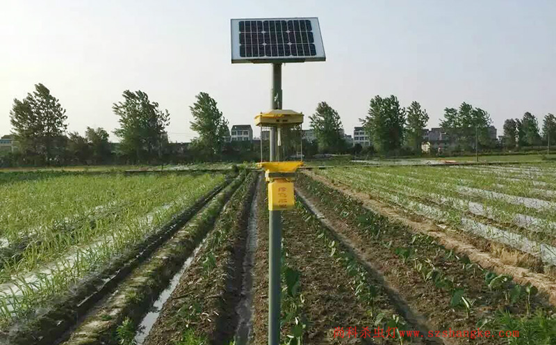 蔬菜種植用頻振式太陽能殺蟲燈