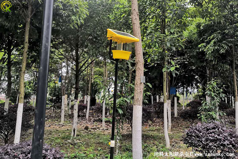 廣西南寧殺蟲燈用于某單位園林公園效果圖片