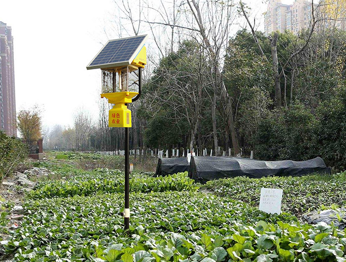 菜地殺蟲燈的優(yōu)點有哪些，讓你的菜園更健康