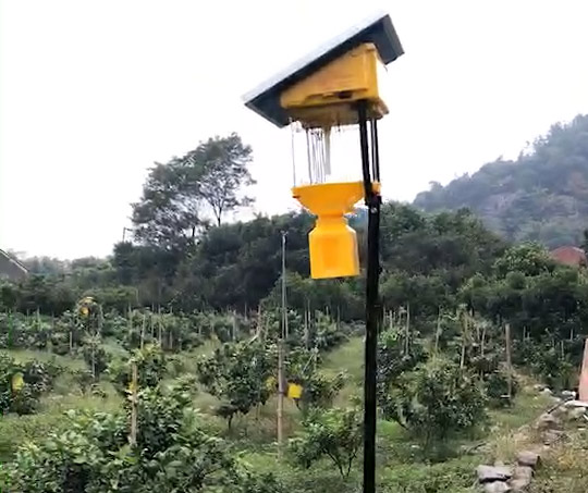 太陽能殺蟲燈電池能用幾年，使用壽命是多久